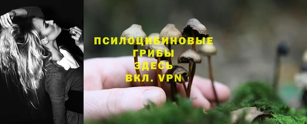 крисы Балабаново