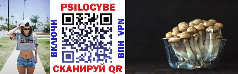 Галлюциногенные грибы мицелий  Таштагол 